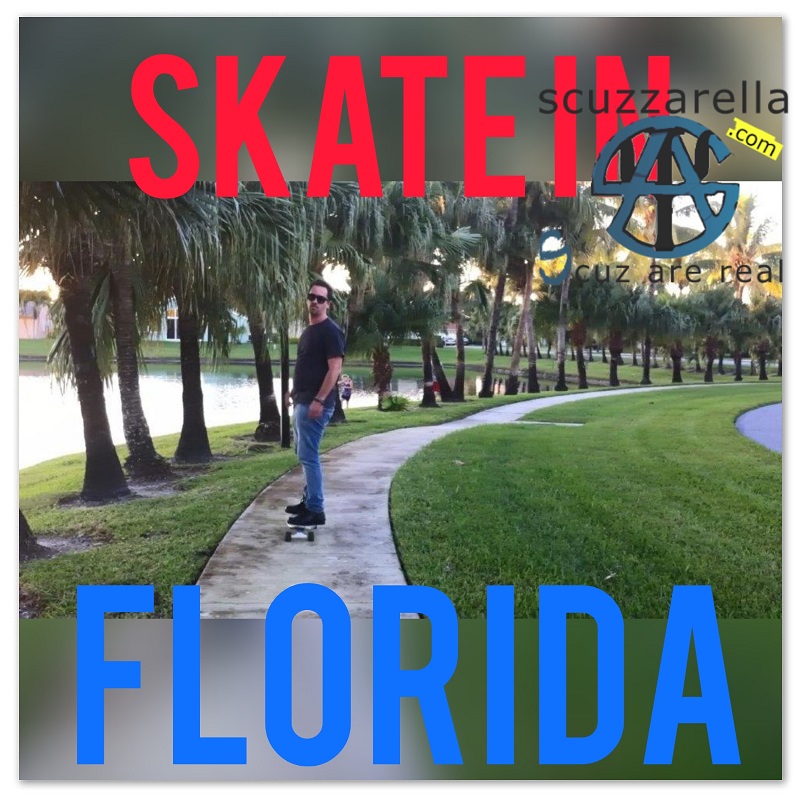 skate in florida